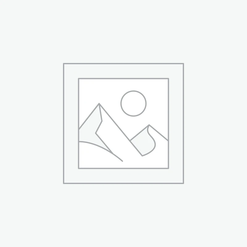Interactive Chat Access