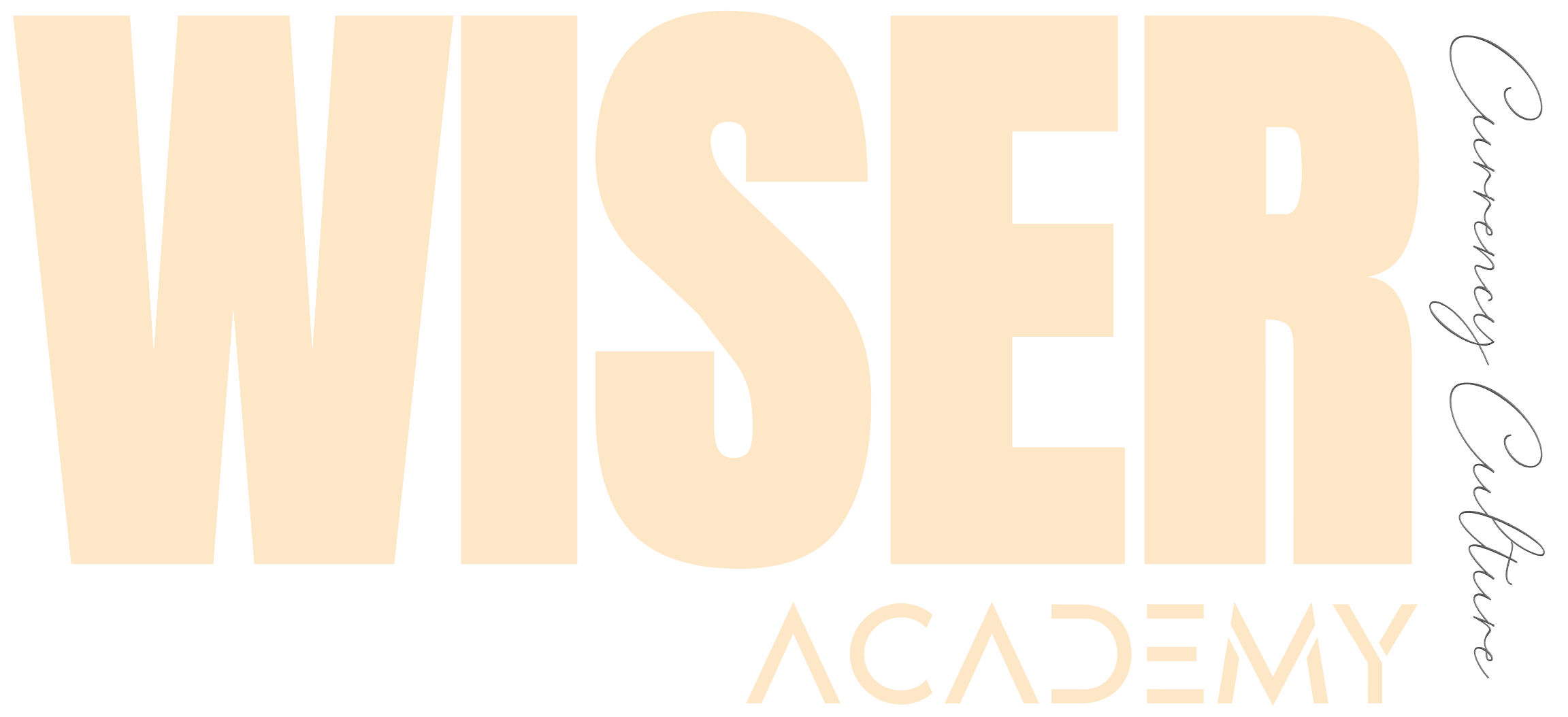 Wiser Academy